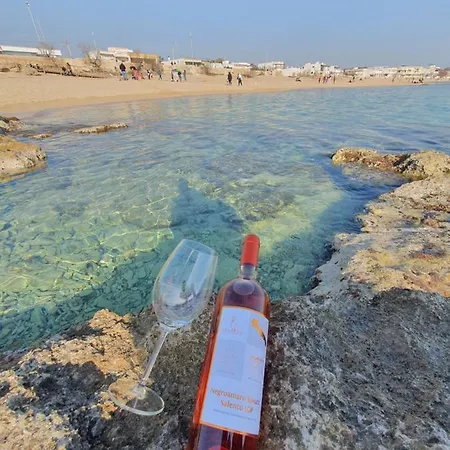 Wine 別荘 *