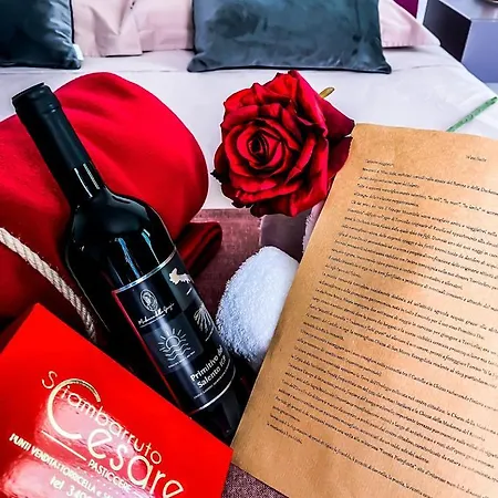 Prázdninový dům Wine *