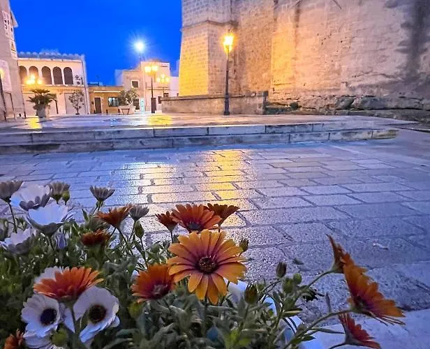 Wine * Torricella (Taranto)